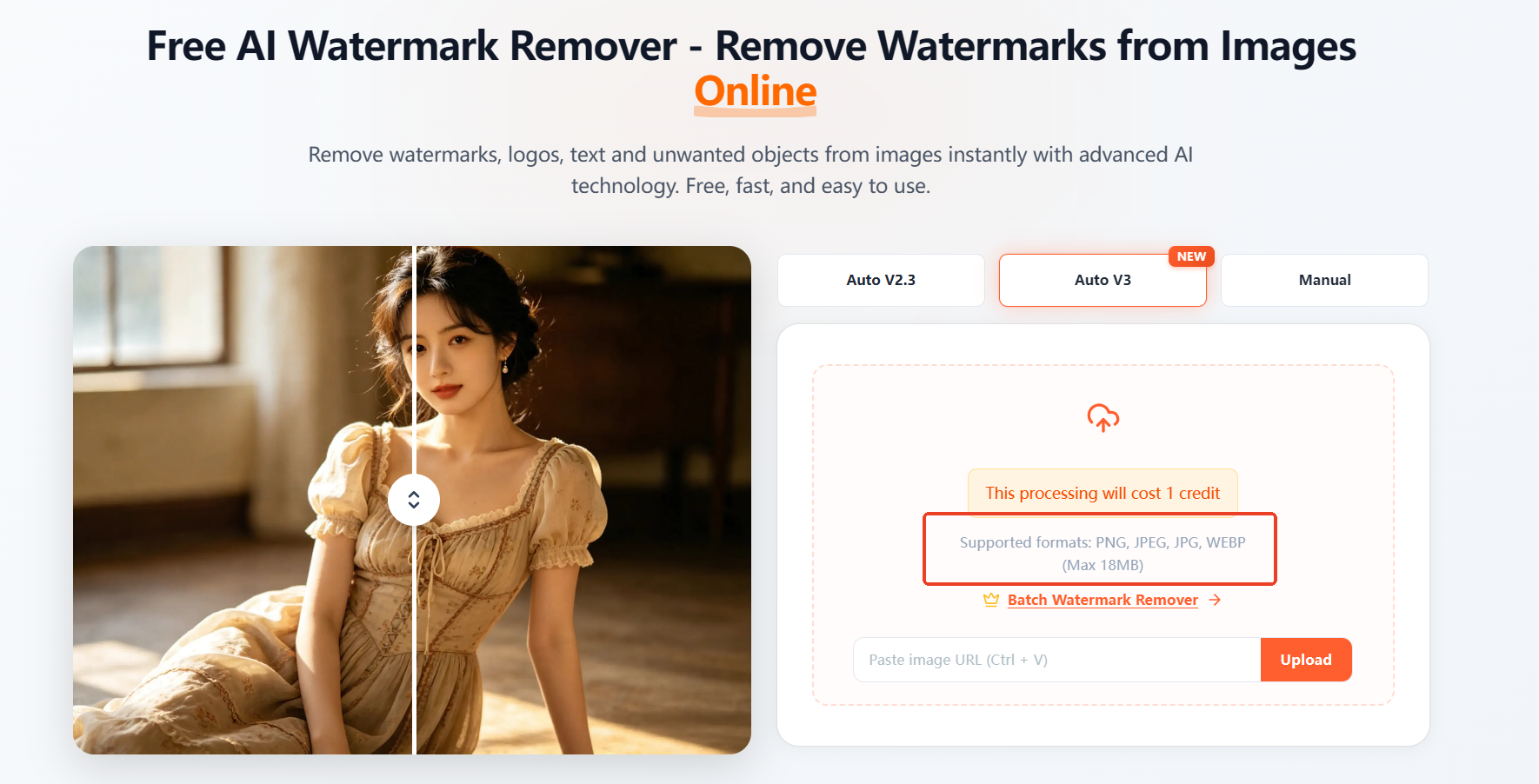upload-watermark-photo-to-unwatermark.ai