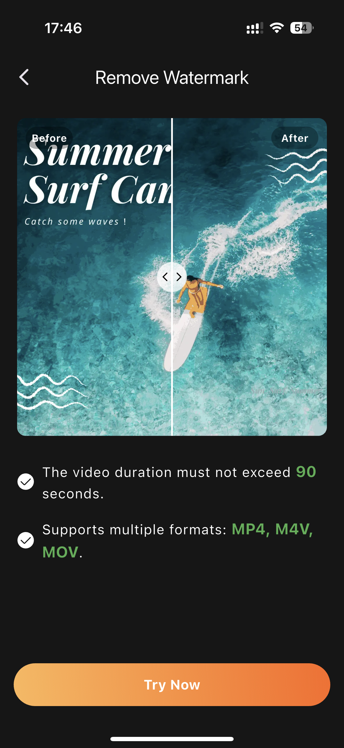 remove-watermark-from-video