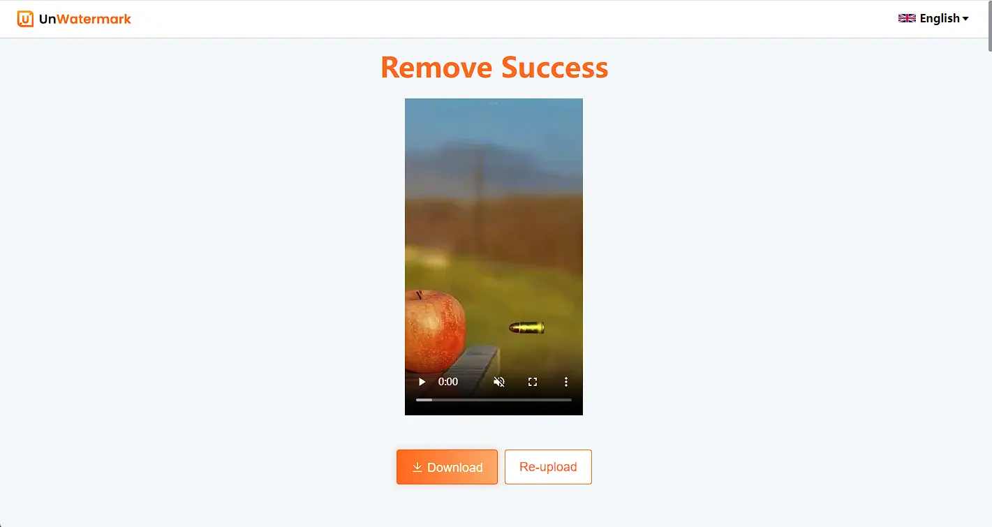 video-watermark-remover-step-three